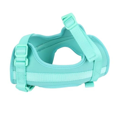 Adjustable Soft Breathable Escape Proof Dog Vest Harness, Pet Chest Harness for Small Dogs and Puppies, Bright Color Safety Design with Dual D Rings for Walking and (S) - color: Green