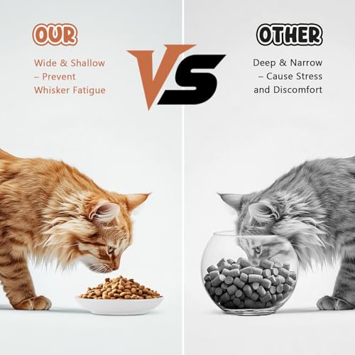 Andaliz 5.7 inch Ceramic Cat Food Bowl Set (6-Piece) - Shallow Dishes for Wet Food & Water, Whisker Fatigue Cat Plates, Kitten Saucers for Indoor Cats