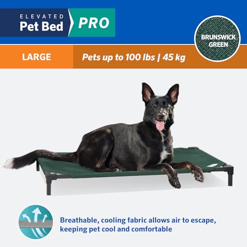 Coolaroo Pro Elevated Dog Bed - Low-Profile Access, Moisture-Resistant Cover, Breathable Fabric & Tool-Free Setup, Brunswick Green, Large - color: Brunswick Green, size: Large