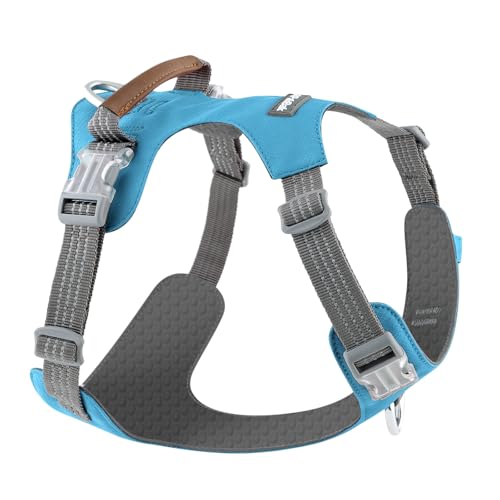 No Pull Dog Harness – Adjustable Reflective Nylon Vest for Small Medium Large Dogs, Escape Proof Training Harness with Leather Control Handle, Lightweight Aluminum Hardware (Cyan, S) - color: Cyan, size: S