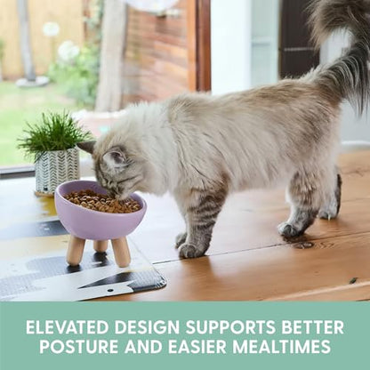 The Cat Ladies Tilted Ceramic Cat Bowl - Elevated Food Bowls Ceramic Pet Bowl - Raised Ceramics Bowls - Elevated & Tilted Design for Comfortable Eating - Dishwasher Safe - Wide Opening - color: Lilac