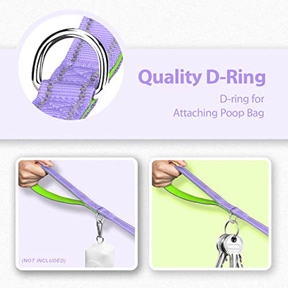PHOEPET 5 Feet Dog Leash - Dual-Side Reflective - Soft Padded Handle - Fit for Walking, Training or Exploring Hiking, Camping (Baby Purple + Green Base) - color: Baby Purple + Green Base