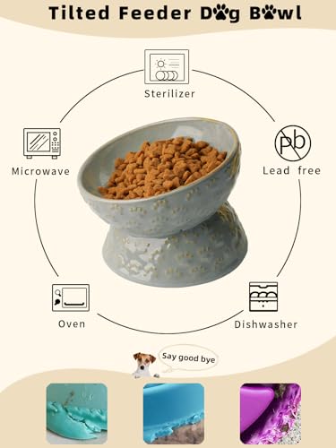 GDCZ Elevated Ceramic Puppy Bowl, 5 Oz Raised and Tilted Water Bowl, Pet Bowl for Small Dog, Fat Faced Cat, Kitten (Grey) - color: Grey