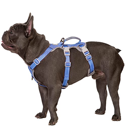Huntboo Escape Proof Harness, No Slip Dog Harness Escape Proof,Fully Reflective Harness with Handle, Breathable,Durable, Adjustable Vest for Medium Dogs Walking,Training,and Running Gear(Vista Blue,M) - color: Vista Blue, size: Medium(Pack of 1)