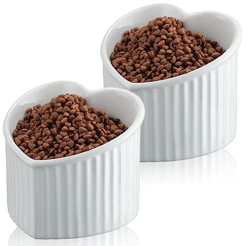Mumufy 2 Pcs Ceramic Elevated Cat Bowls Tilted Elevated Raised Pet Bowls Anti Vomit Cat Dish for Indoor Stress Free Water Dish Feeder for Puppies, Heart Shaped(Pearly White) - color: Pearly White