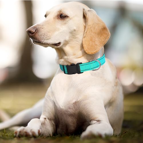 Dog Collars Adjustable for Puppy and Small Dogs,Heavy Duty Waterproof Dog Collar with Quick Release Buckle,Girl Boy Female Male Reflective Nylon Dog Collar with Soft Neoprene Padded,XS,Turquoise - color: Turquoise, size: X-Small