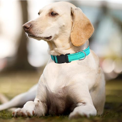Dog Collars Adjustable for Puppy and Small Dogs,Heavy Duty Waterproof Dog Collar with Quick Release Buckle,Girl Boy Female Male Reflective Nylon Dog Collar with Soft Neoprene Padded,XS,Turquoise - color: Turquoise, size: X-Small