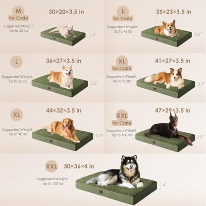 EHEYCIGA Orthopedic Foam Dog Bed, Medium, 30"L x 20"W x 3.5"Th, Dark Green - color: Olive Green, size: 30*20*3.5 Inches