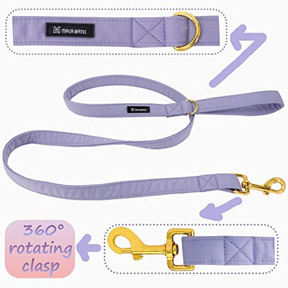 Maca Bates Dog Collar and Leash Set, Adjustable Solid Dog Collar and Leash for Small Medium Large Dog with Golden Metal Buckle - color: set-violet, size: XS