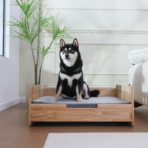 Elevated Dog Bed for Small to Medium Dogs – 32” x 21” Indoor Wooden Pet Sofa with Soft Cushion, Mid-Century Modern Style, Sturdy & Stylish (Natural) - color: Pine Wood