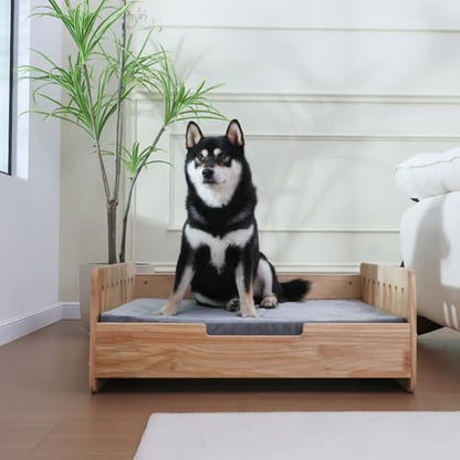 Elevated Dog Bed for Small to Medium Dogs – 32” x 21” Indoor Wooden Pet Sofa with Soft Cushion, Mid-Century Modern Style, Sturdy & Stylish (Natural) - color: Pine Wood