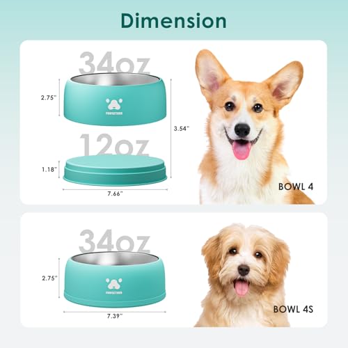 PAWGETHER® Stainless Steel Dog Bowls, Dog Food Water Bowl with Non-Slip Base Two-Piece Design Easy Clean Dishwasher Safe Mint Green 34oz + 12oz - color: Mint Green (34oz + 12oz)