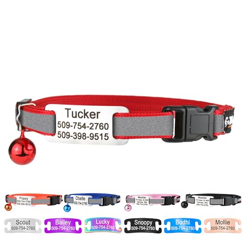 GoTags Personalized Reflective Cat Collars with Tag, Engraved Custom with Name and Phone, Breakaway Collar with Safety Buckle and Bell, Adjustable for Cats and Kitten, (Red with Nameplate) - color: Red, size: One-Size (Reflective)