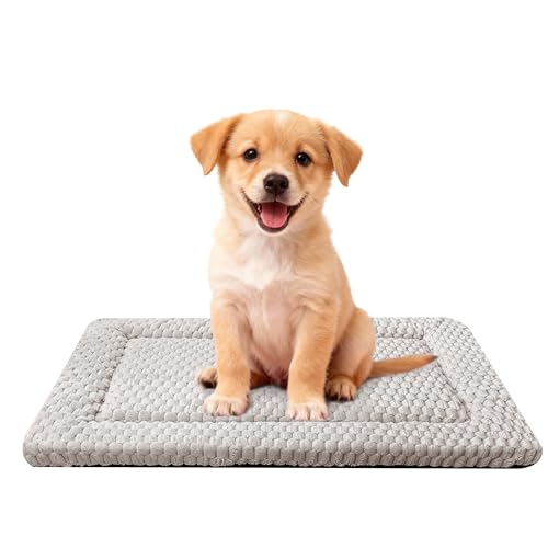 Dog Bed Mat,Reversible & Ultra Soft Kennel Pad-Machine Washable Pet Bed for Dogs & Cats-All-Weather Crate Liner for Crates,Carriers & Travel (Light Gray, 24" L x 18" W x 1.5" Th) - color: Light Gray, size: 24.0"L x 18.0"W x 1.5"Th