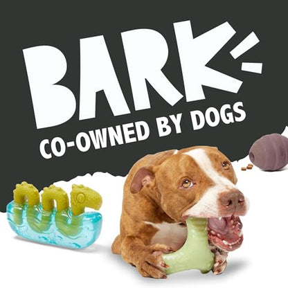 Barkbox Ricochet The Nutria Dog Toy – All-Rubber Design with Fun Squeak, Perfect for Enthusiastic Chewers and Durable Playtime - style: Ricochet The Nutria