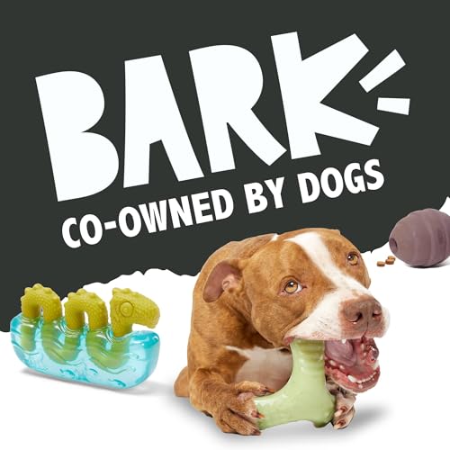 Barkbox Tug Tied Toad Dog Toy for Tough Chewers – Durable Rubber Design, Perfect for Tug-of-War - color: Tug Tied Toad-Large