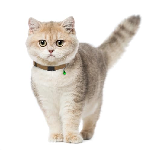 Breakaway Cat Collar Leather with Removable Bell - 13 Colors Available - Soft Adjustable Girl Boy Safety Lightweight Pet Kitten Collars Pink Brown Blue Green Red Orange Black (Pink) - color: Pink