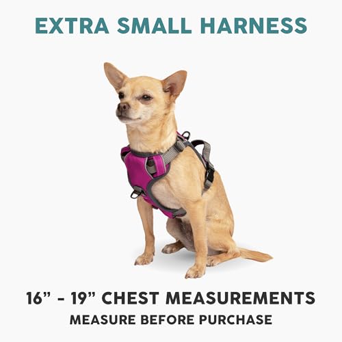 Embark Adventure Dog Harness for Small, Medium & Large Dogs – No Pull, Reflective Trim, Military Grade Nylon, 2 Leash Clips, Gel-Lined Handle, Soft Padded - color: Pink, size: XS