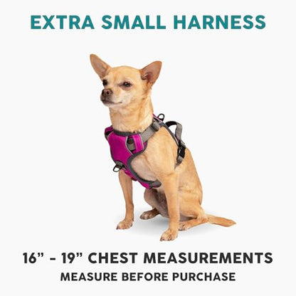 Embark Adventure Dog Harness for Small, Medium & Large Dogs – No Pull, Reflective Trim, Military Grade Nylon, 2 Leash Clips, Gel-Lined Handle, Soft Padded - color: Pink, size: XS