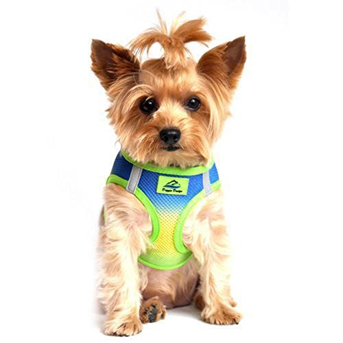 DOGGIE DESIGN American River Dog Harness Ombre Collection - Cobalt Sport XXS - color: Colbalt Sport, size: XX-Small