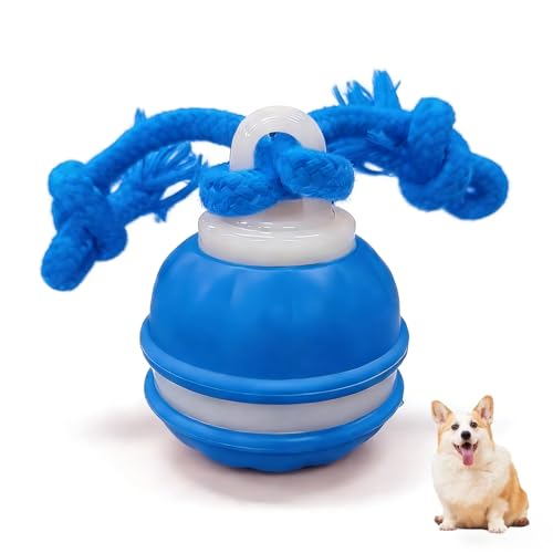 Zealburst Interactive Dog Toy Ball, 2026 Upgraded Motion Activated Rolling Ball with Squeaky Sounds, 360° Smart Automatic Moving Toy for Bored Cats & Dogs, Indoor & Outdoor Pet Exercise Toy (Blue) - color: Blue