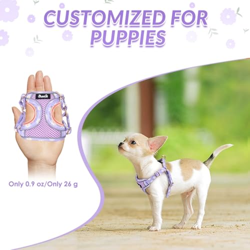 SlowTon Small Dog Harness - No Pull Dog Harness and Leash Set, Soft Mesh Lightweight Puppy Vest Harnesses, Adjustable Pet Harnesses for XXS XS Small Medium Easy Walk Hiking (Purple, M) - color: 2.Purple Daisy, size: Medium