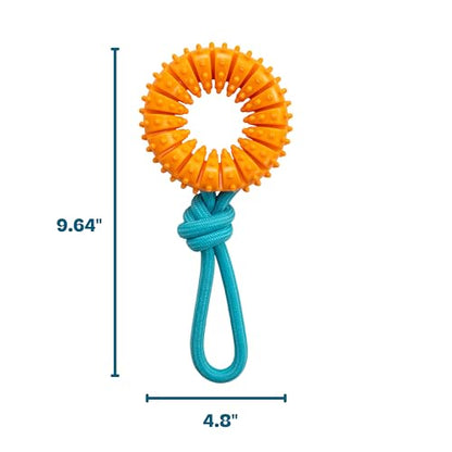 Dental Chew Wheel Dog Toy – Ring & Rope Tug, Multi-Textured, Soft on Teeth, Moderate Chewers, Mint Scented, 9" - color: Chew Wheel