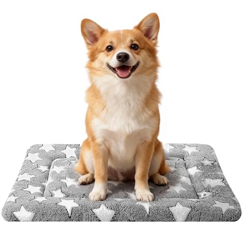Dog Bed Mat - Comfortable Kennel Pad, Multi-Purpose Crate Bed & Mat for Dogs & Cats – Soft Crate Pad for Dog & Cat (Gray, M(30"x20"x1.5")) - color: Gray, size: 30.0"L x 20.0"W x 1.5"Th