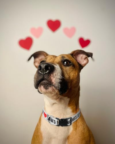 Valentines Dog Collar for Large Dogs, Adjustable Quick Release Dog Collar Set 1 inch - color: Valentines's Day, size: L
