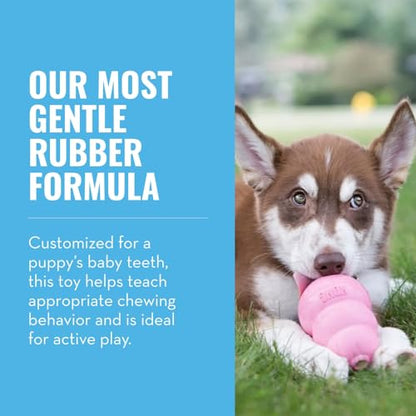 KONG - Puppy Toy Natural Teething Rubber - Fun to Chew, Chase and Fetch - for Medium Puppies - Pink - color: Pink, size: Medium (Pack of 1)