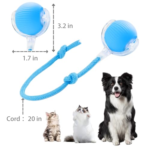 KumCinn Interactive Dog Ball for Small Medium Dogs, Automatic Self Moving Cat Toys Ball for Indoor Cats, 360° Rolling Electric Pet Ball, Fast Smart Motion Activated Toy (Blue) - color: BLUE-A