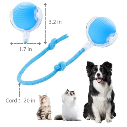 KumCinn Interactive Dog Ball for Small Medium Dogs, Automatic Self Moving Cat Toys Ball for Indoor Cats, 360° Rolling Electric Pet Ball, Fast Smart Motion Activated Toy (Blue) - color: BLUE-A