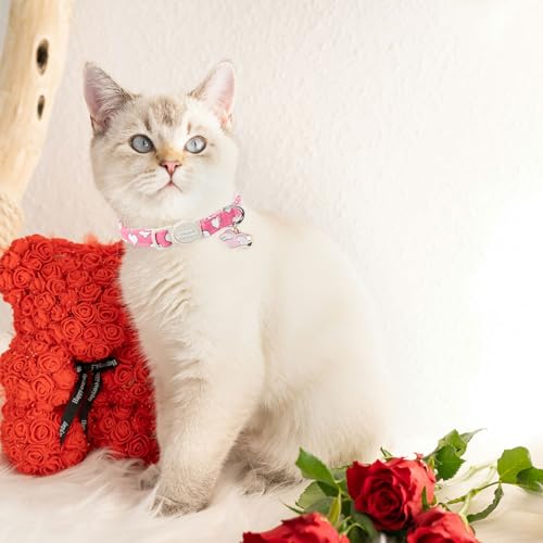 Unique style paws 2 Pack Valentine's Day Kitten Collar Breakaway with Bell&Pendant, Adjustable Safety Red Lip Rainbow Cat Cotton Collar for Girl Boy Cat and Small Pet - color: red pink heart