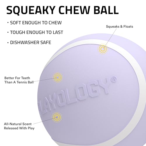 Playology Dog Toys | Squeaky Chew Ball - Bouncy Durable Floating Fetch Ball for Dogs | Jumbo Lamb Scented Toy - Easy to Clean and Made from Non Toxic Materials - size: Jumbo, style: Lamb
