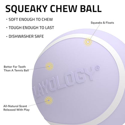 Playology Dog Toys | Squeaky Chew Ball - Bouncy Durable Floating Fetch Ball for Dogs | Jumbo Lamb Scented Toy - Easy to Clean and Made from Non Toxic Materials - size: Jumbo, style: Lamb