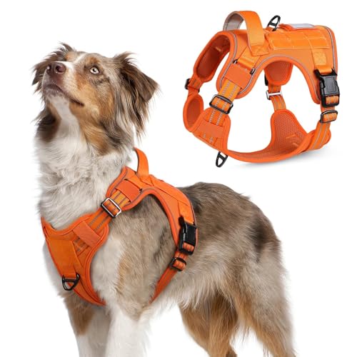 rabbitgoo Tactical Dog Harness Medium Sized Dog, No Pull Military Service Vest with Handle & Molle, Easy Control for Training Walking, Adjustable Reflective Straps, Orange, M - color: Orange, size: Medium