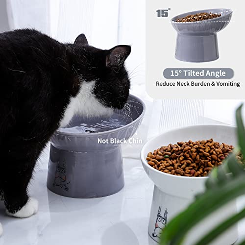 6.5 Inch Extra Wide Ceramic Raised Cat Bowl Set, Tilted Elevated Cat Bowls for Food and Water, Prevent Whisker Fatigue, Stress Free, Less Vomiting, Protect Spine, White & Grey - color: White & Grey
