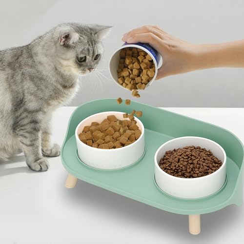 Elevated Dog Bowls Set, Ceramic Pet Food & Water Bowls with Non-Slip Stand, No Spill Design for Cats/Small Medium Dogs Green - color: Green