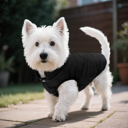 ASENKU Windproof Dog Winter Coat Waterproof Fleece Jacket Cold Weather Pet Apparel for Small Medium Large Dogs (Black, XS) - color: Black, size: X-Small