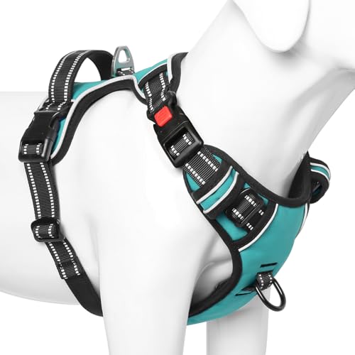 No Pull Dog Harness, Release at Neck Reflective 3 Snap Buckles Adjustable No Choke Pet Vest with Front & Back 2 Leash Clips, Soft Padded Control Training Handle for Small Medium Large Dogs - color: Lock-Turquoise, size: Medium (Pack of 1)