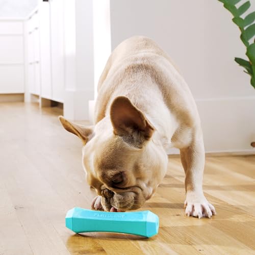 Playology Dog Toys | Squeaky Chew Stick for Dogs, Value 2-Pack | Peanut Butter Scented Medium Fetch Toy | Squeaky Dog Chew Toy - size: Medium (VALUE 2-Pack), style: Peanut Butter