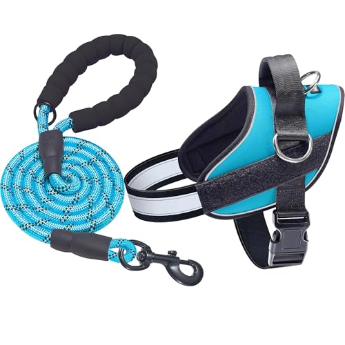Haapaw Essential Dog Harness, No Pull Pet Vest with 3 Leash Clips, No Choke, Reflective, Adjustable and Padded, for Easy Walking and Training for Large Dogs(XL, Blue) - color: Blue, size: XL
