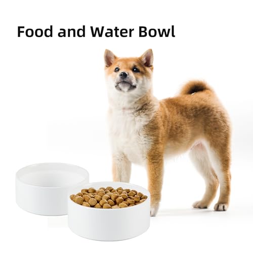 Havniva 7.3” Ceramic Dog Bowls, Dog Food and Water Bowl for Medium Dogs, Durable Dog Water Bowl with Non-Slip Rubber Base Large Capacity Pet Feeding Bowl - color: Matte White, size: 7.3 Inch