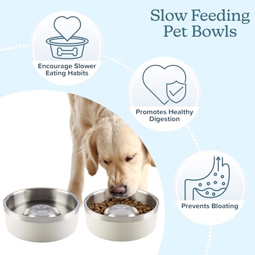Set of 2 Stainless Steel Slow Feeder Dog Bowls - 60oz/7.5 Cups Double Wall Insulated Food and Water Bowls for Dogs - Non Slip Metal Pet Dishes for Medium to Large Sized Pets by PETMAKER (Cream) - size: 60oz