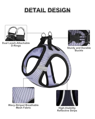Dog Harness Small Sized and Leash Set, Step in Soft Light Puppy Vest, Breathable Mesh Pet Harness Suitable for Puppies and Kittens. (Purple, XXS(Chest:10.24-11.81")) - color: Purple, size: XXS(Chest:10.24-11.81")