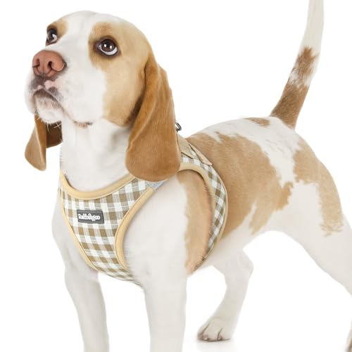 rabbitgoo Small Dog Harness, Step-in Soft Mesh Puppy Vest with Safety Buckle, Breathable Reflective Pet Harness for Small Sized Dogs, Beige Plaid M - color: Beige Plaid, size: M(chest:16.0"-18.5")