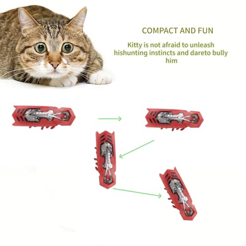 Cat Interactive Teaser Toys 2PCS Electric Moving Beetle Mini Electric Robot Beetle Electric Funny Interactive Toy Heal Loneliness for Cat Kitten Replaceable Battery (Green+Orange) - color: Green+orange
