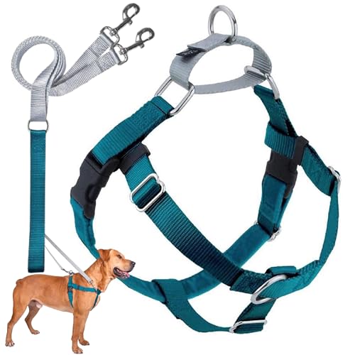2 Hounds Design Freedom No Pull Dog Harness, Adjustable Harness and Leash Set, Easy Walking & Comfortable Control, Fits Small, Medium & Large Dogs, Solid Colors, Made in USA, 5/8" XS, Teal - color: Teal, size: XS (Chest 15"- 20")