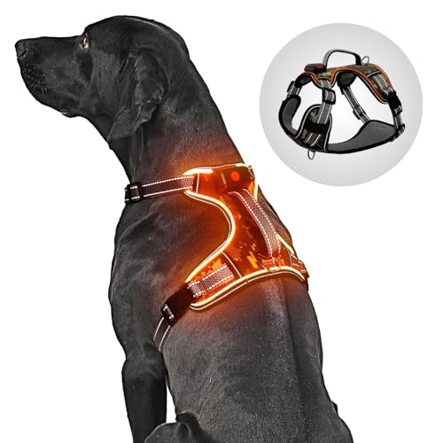 LED Light Up Dog Harness for Safety Night Walking, Glow in the Dark Soft Mesh Dogs Vest Lighted USB Rechargeable - Reflective/Illuminated No Pull Dog Vest Harness for Small Dogs (Orange, S) - color: Orange-LED, size: Small