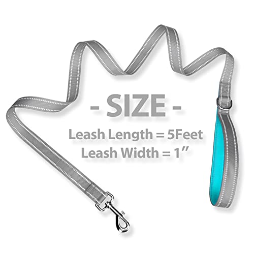 PHOEPET 5 Feet Dog Leash - Dual-Side Reflective - Soft Padded Handle - Fit for Walking, Training or Exploring Hiking, Camping (Grey + Mint Green Base) - color: Grey + Mint Green Base